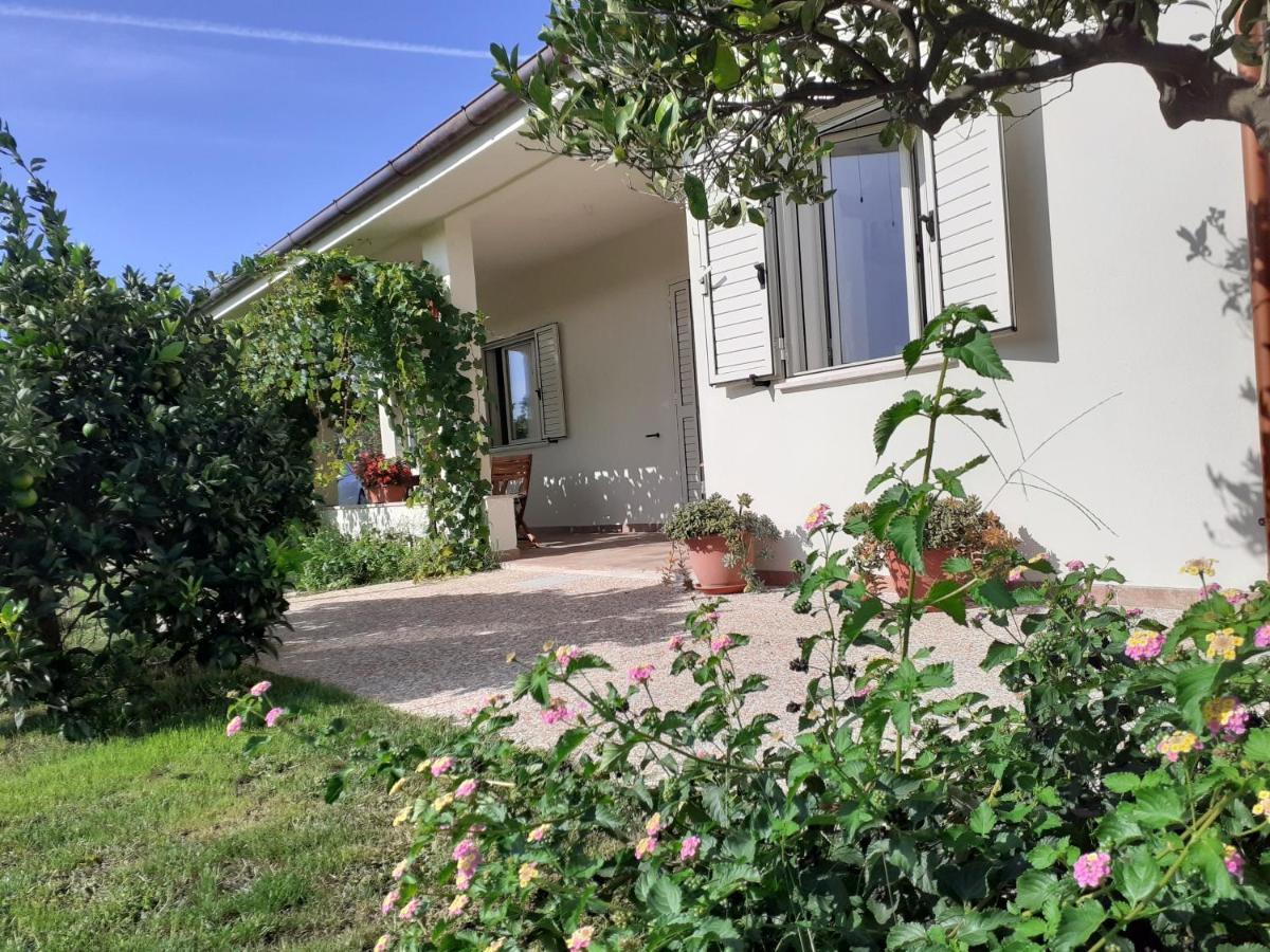 Pusortu Holiday home