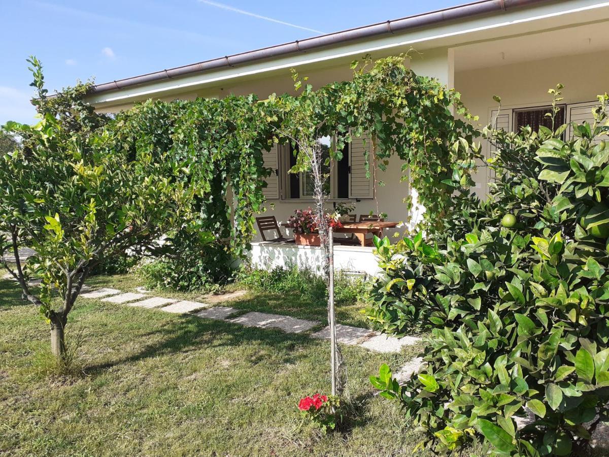 Holiday home Pusortu