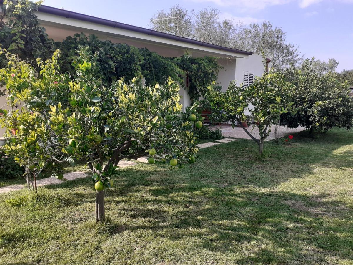 Pusortu Holiday home